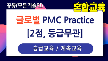 글로벌 PMC Practice 이미지